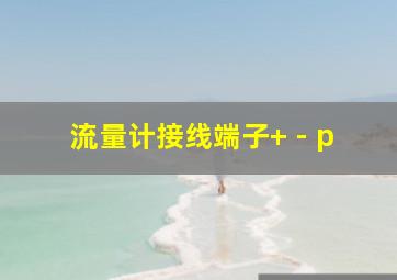 流量计接线端子+ - p